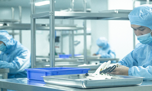 Biological Hernia Graft Biological Hernia Graft