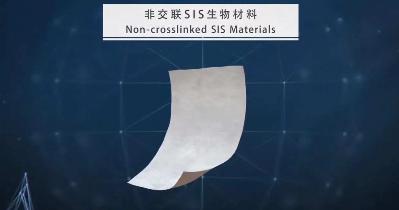 Maille biorésorbable SIS