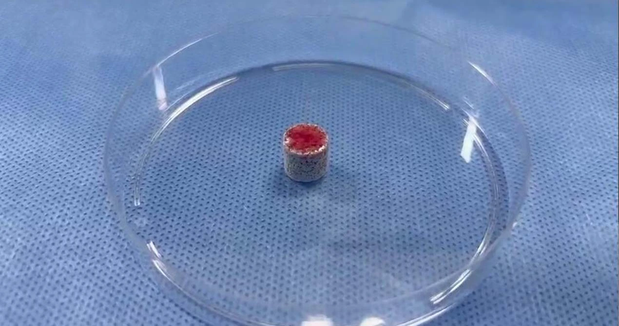 Matériau de greffage des os